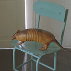 Armadillo