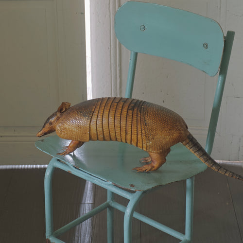 Armadillo