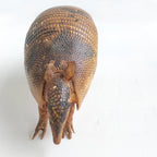 Armadillo