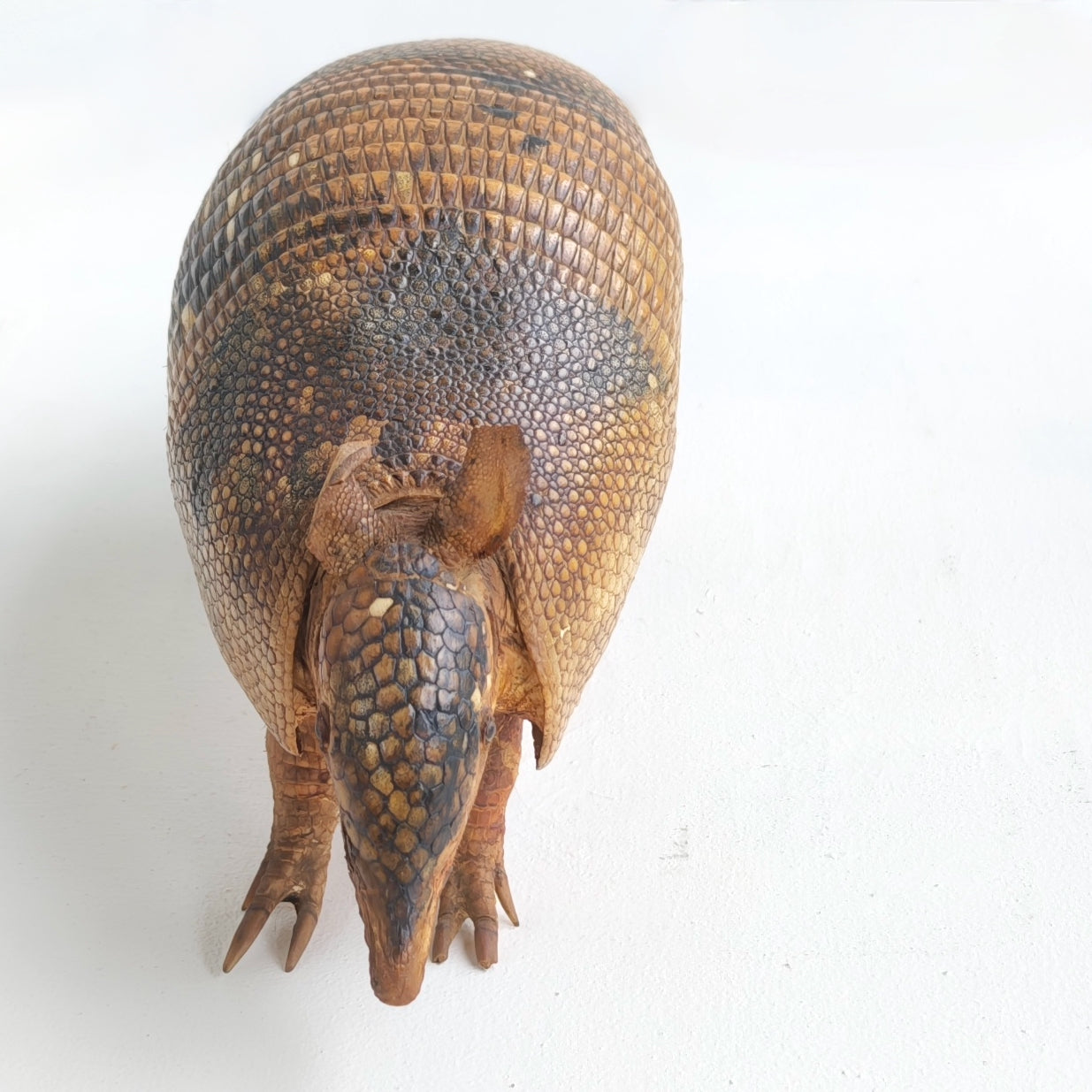 Armadillo