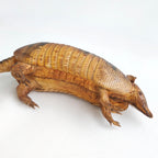 Armadillo