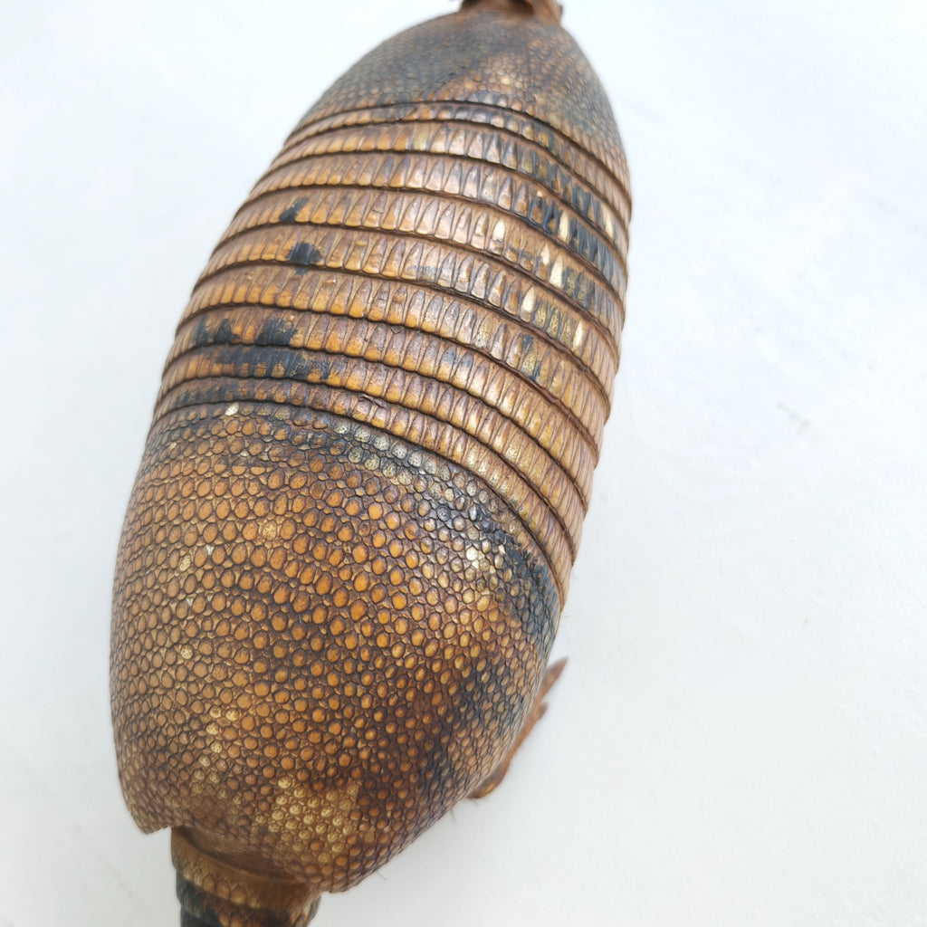 Armadillo