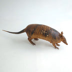 Armadillo