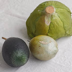 Vegetables / Japan