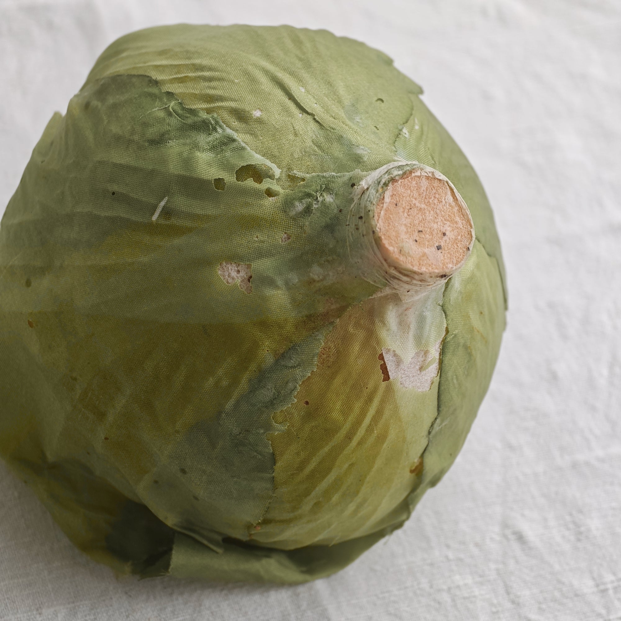 Vegetables / Japan