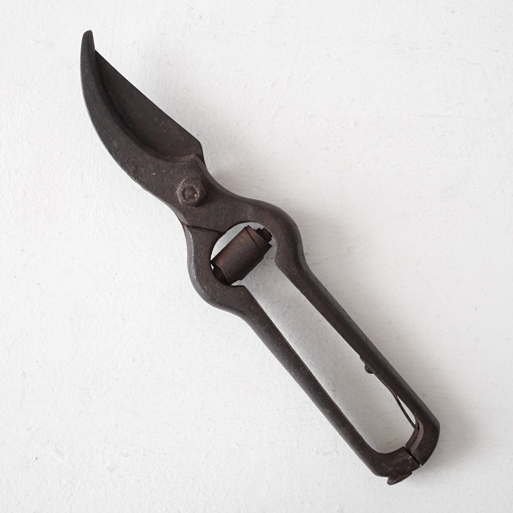 Garden Scissors / France