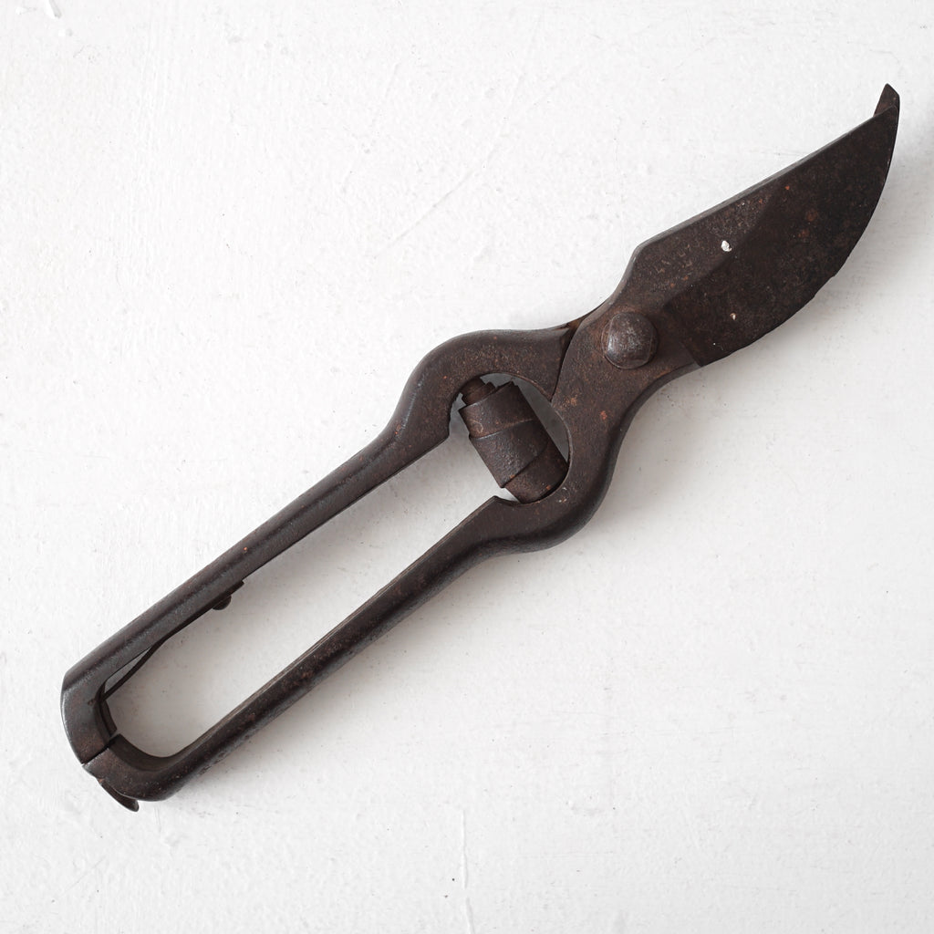 Garden Scissors / France