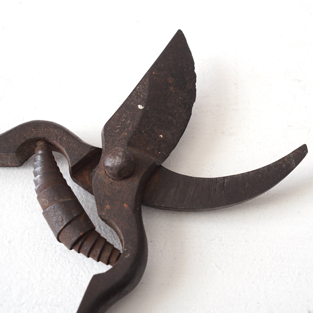 Garden Scissors / France