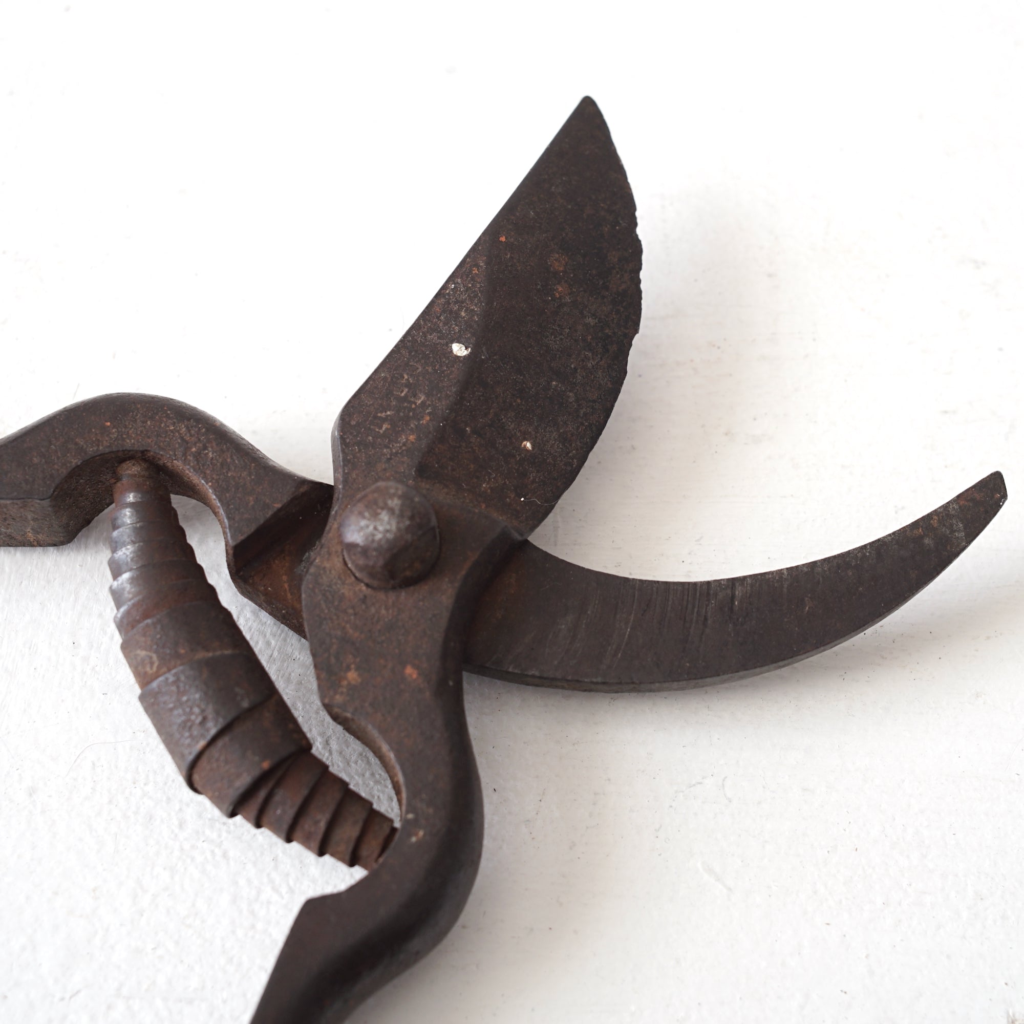 Garden Scissors / France