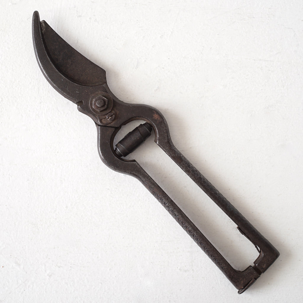 Garden Scissors / Belgium