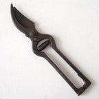 Garden Scissors / Belgium