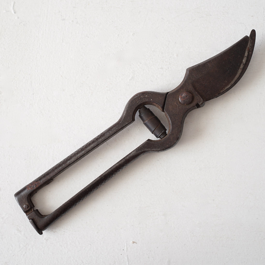 Garden Scissors / Belgium