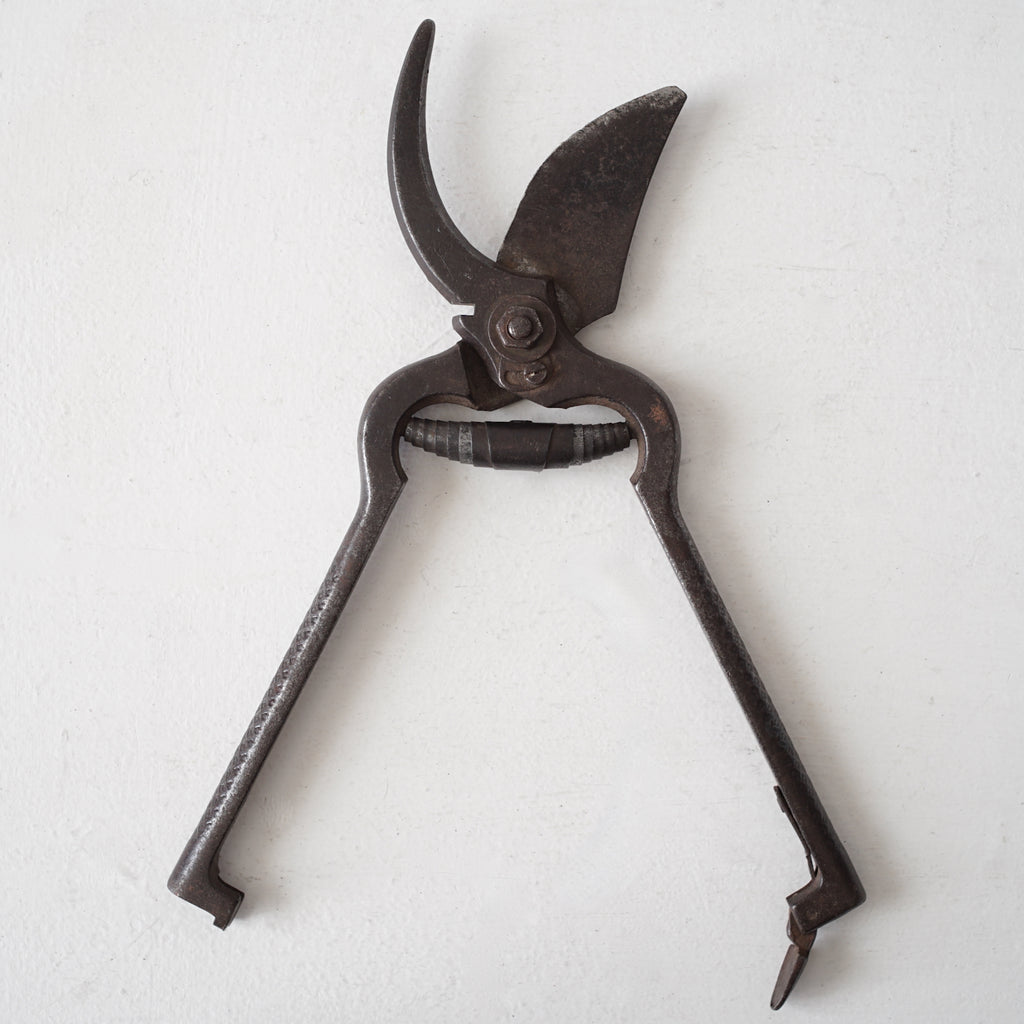 Garden Scissors / Belgium