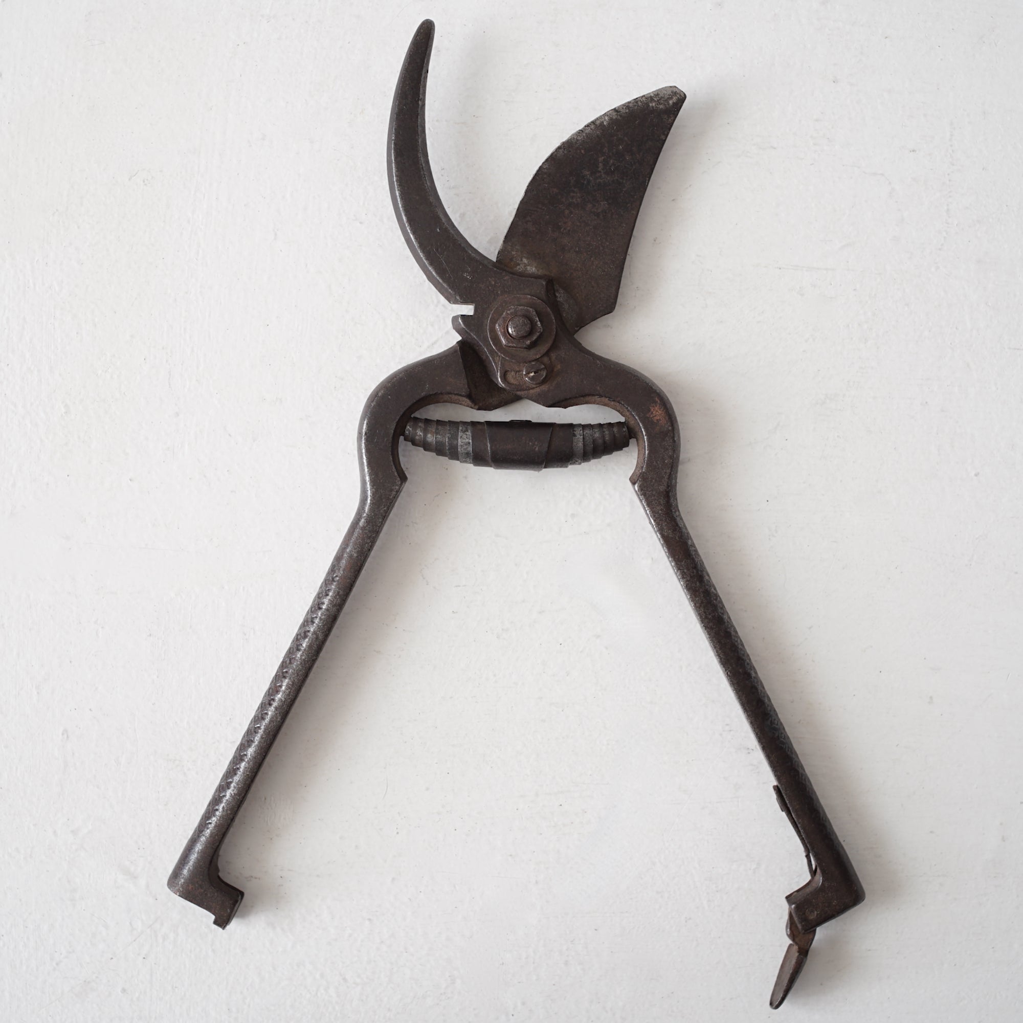Garden Scissors / Belgium