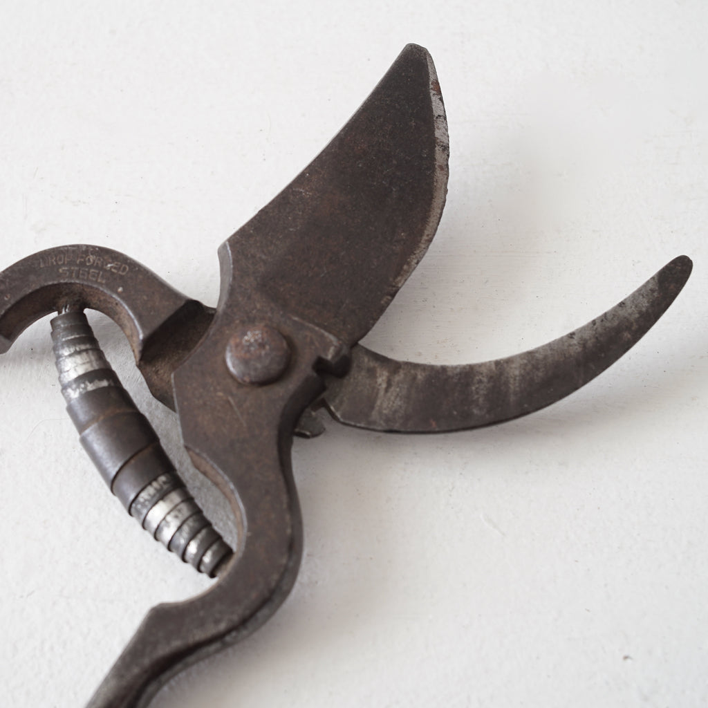 Garden Scissors / Belgium