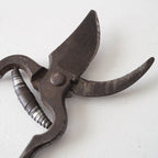 Garden Scissors / Belgium