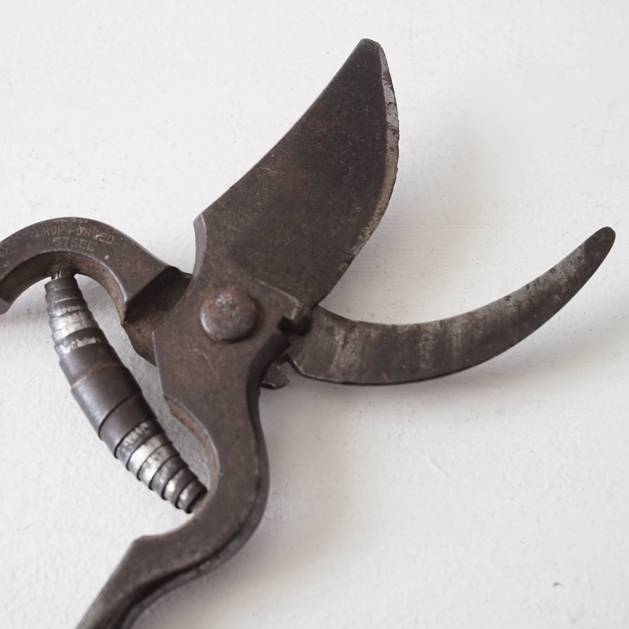 Garden Scissors / Belgium