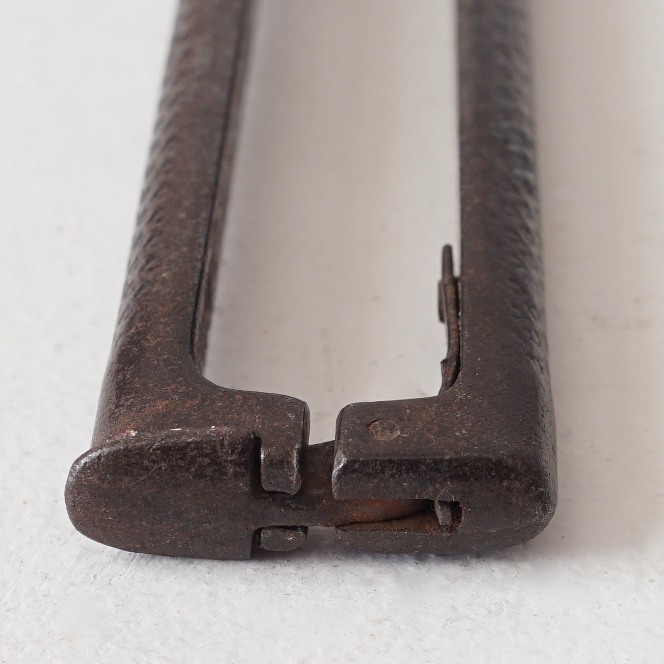 Garden Scissors / Belgium