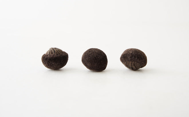Velvet Button
